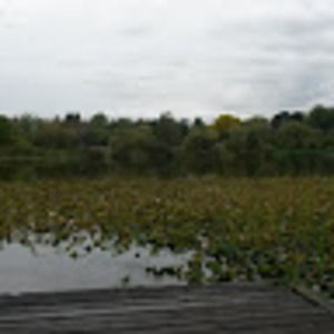 Meet your Posher, Jen